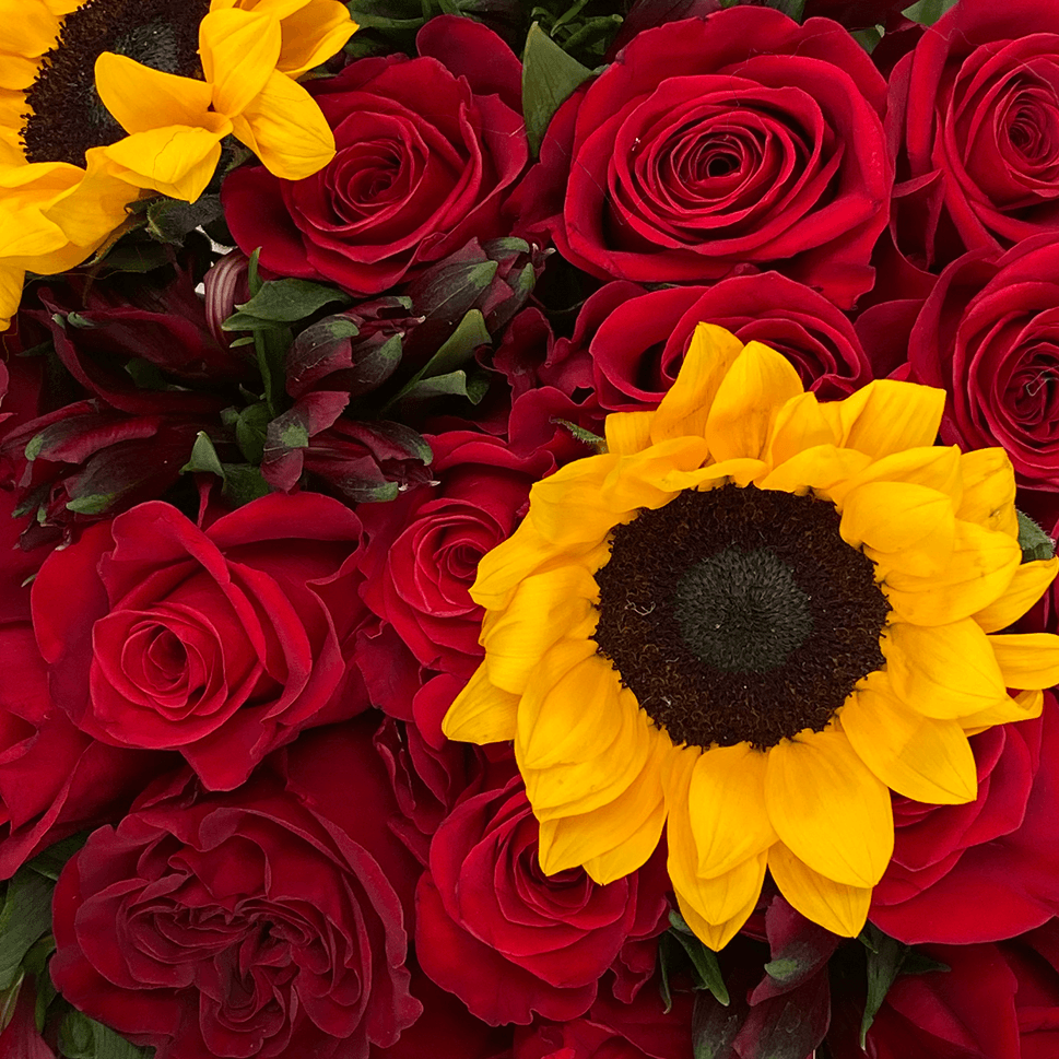 Girasoles y Rosas Rojas: El Significado de esta Combinación Floral